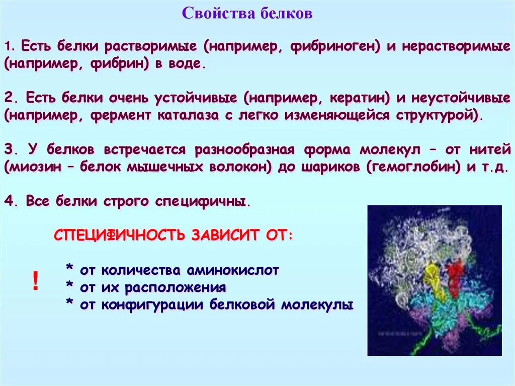 Общие свойства белка. Свойства белков. Электрические свойства белков. Белки свойства белков. Растворимые и нерастворимые белки.