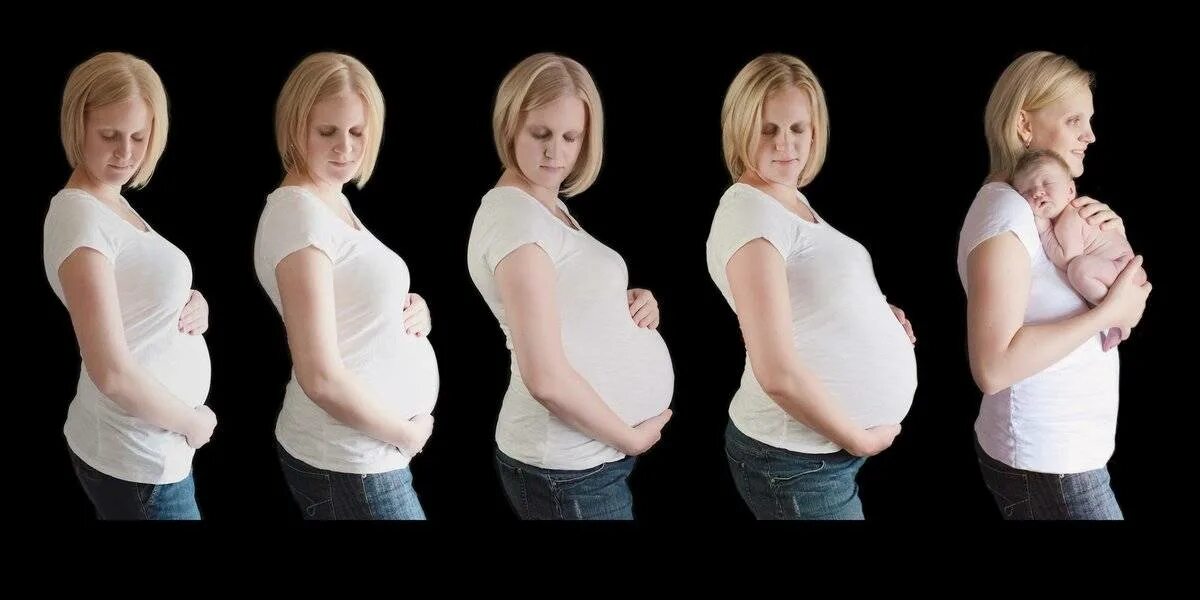 На какой неделе беременности растет живот. Растет живот. Растущий живот у беременных. Живот беременной женщины по месяцам. Беременность живот растет.