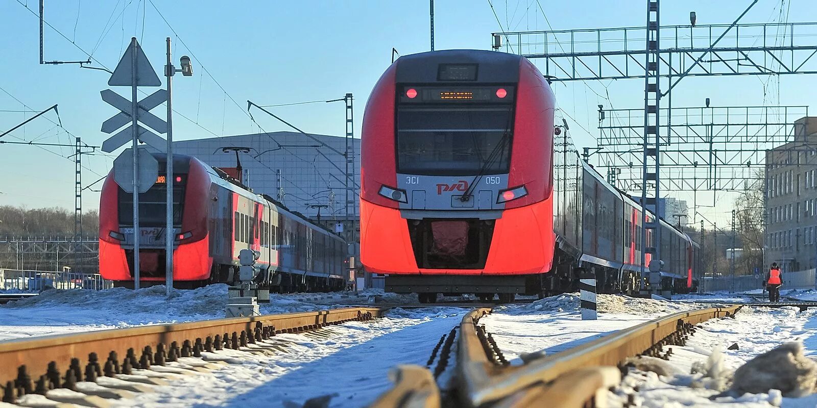 Ласточка подсолнечная. Ласточка поезд в Зеленограде. Поезд Ласточка МЦД. Новые электрички. Ласточки на Ленинградском направлении.