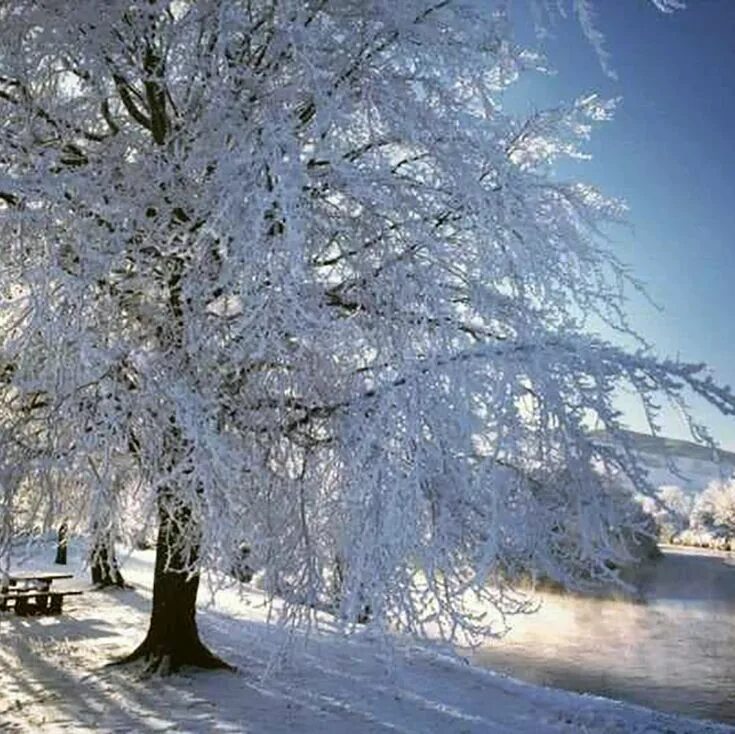 Winter stand