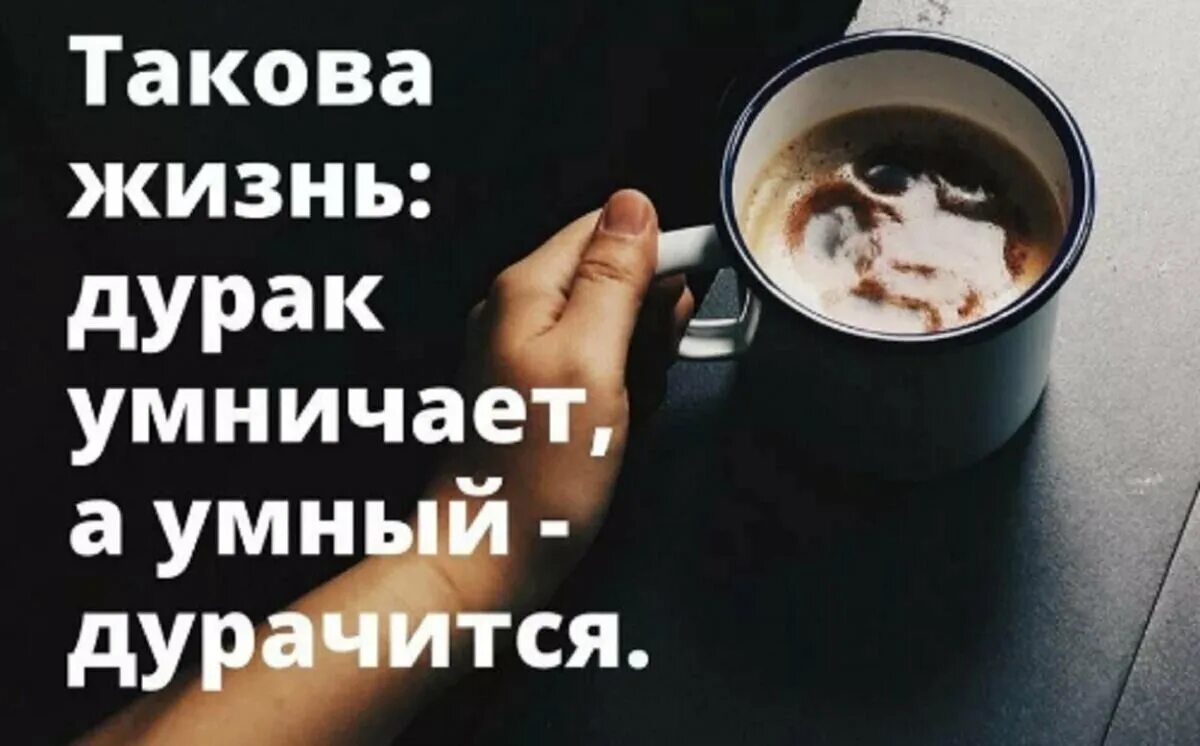 Дураки умничают умные дурачатся. Дурак умный и мудрец. Умный дурачок. Высказывания о дураках. Умный дурачок.