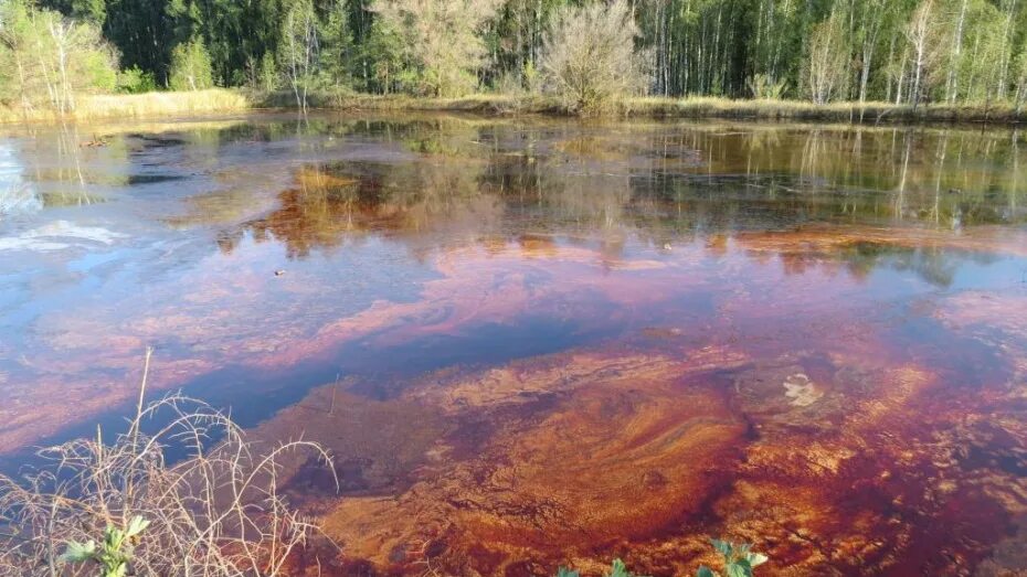 Загрязнение водохранилища. Загрязнение водохранилища Воронеж. Загрязнение воды в Воронежской области. Воронежское водохранилище загрязнение. Экологическия в Воронежской области.