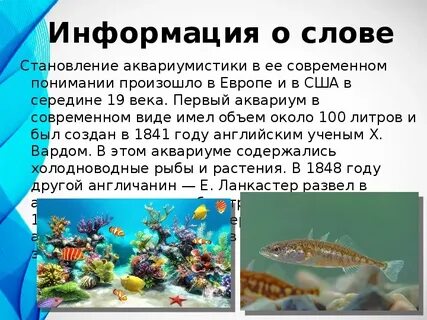 Аквариум текст