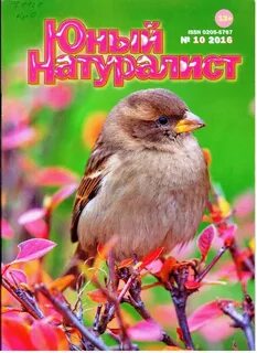 Юный натуралист