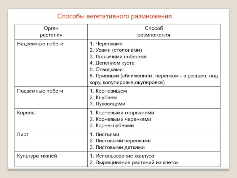 Установите соответствие способы размножения. Виды вегетативного размножения растений схема. вегетативное размножение примеры растений 6 класс биология. схема способы размножения растений. способы вегетативного размножения растений с примерами.