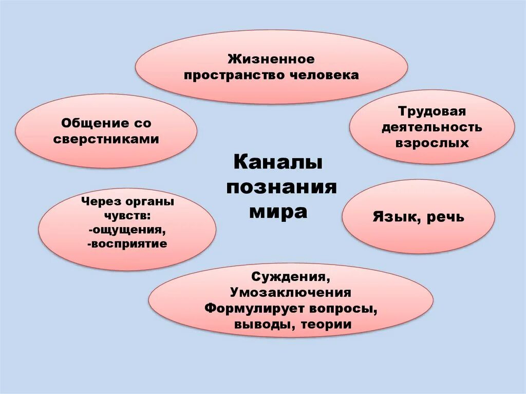 Познание 6 класс. Каналы знаний Обществознание 6 класс. Каналы познания человека.