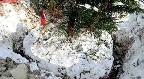 Зимняя посадка