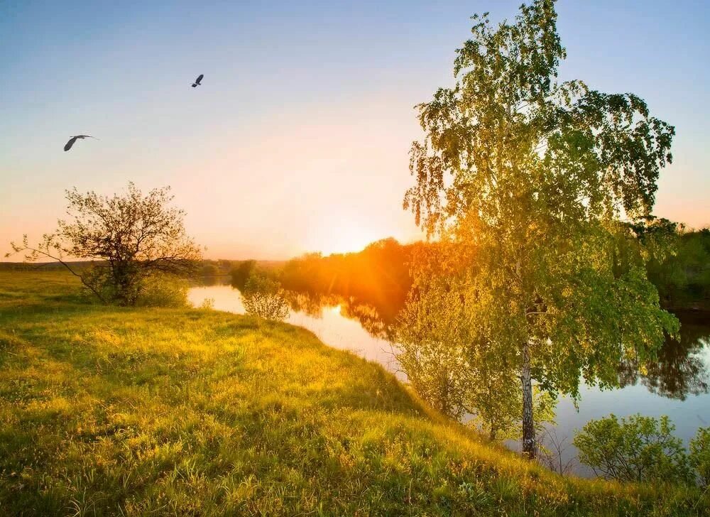 Над родной страной. Родина природа. Природа нашей Родины. Природа родной земли.