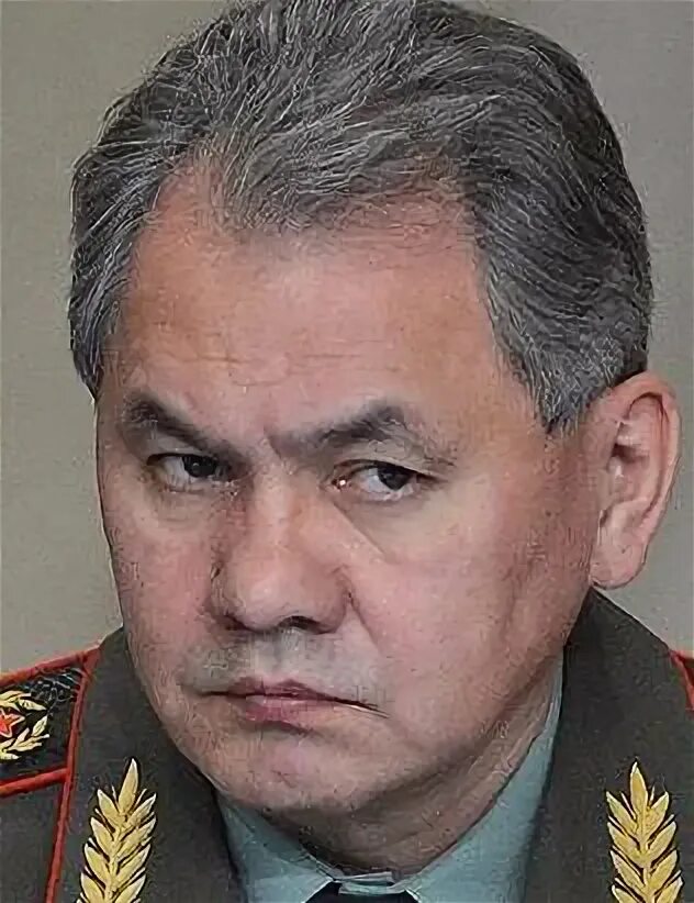 Шойгу. Фио шойгу. План шойгу. Шойгу. Шойгу.
