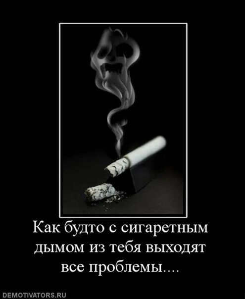 Дым со словами. Цитаты про курящих. Афоризмы про сигареты. Цитаты про сигареты. Высказывание про дым.