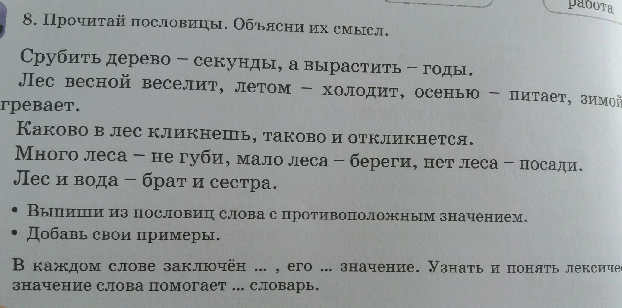 Срубили деревья пословица. Прочитай пословицы объя. Объяснить пословицу. Лес и вода пословица смысл. Пословицы про лес и вода родные брат и сестра.