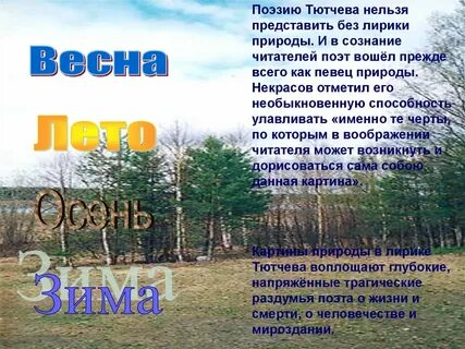 Тютчев тема человека и природы