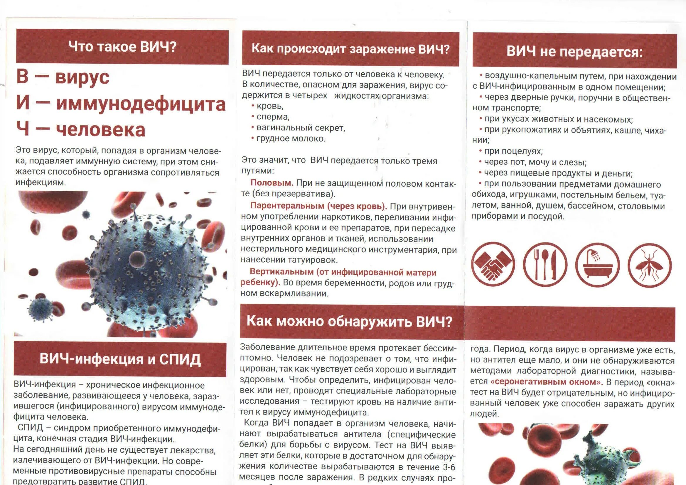 Тест на вирусную инфекцию. Тест на вирусную инфекцию