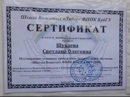 Госу линия