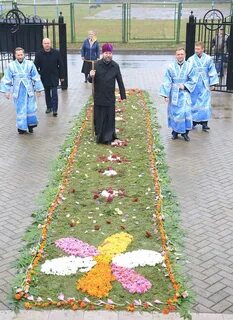 Базилик бобруйск отзывы