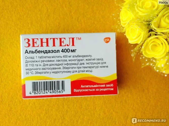 Как часто можно пить от глистов. Альбендазол зентел. зентел 400. зентел альбендазол 400мг. табл от глистов зентел.