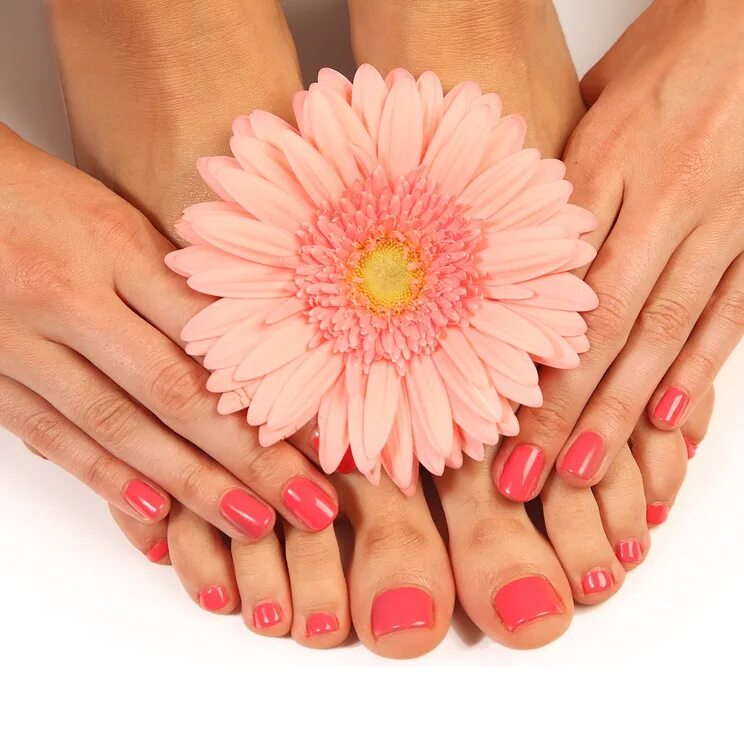 Шикарный педикюр. Классический маникюр и педикюр. Красивые ногти. Курсы маникюра. Маникюр и педикюр.