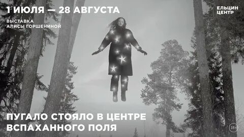 Алиса поле