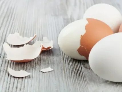 Почему яйцо в скорлупе