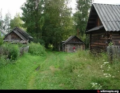 Прогноз дер