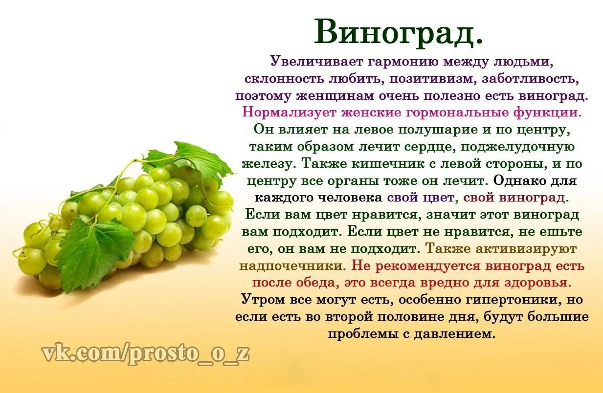 Виноград зеленый польза. Чем полезен виноград для организма. Чем полезен виноград для организма человека. Чем полезен виноград. Чем полезен виноград для человека.