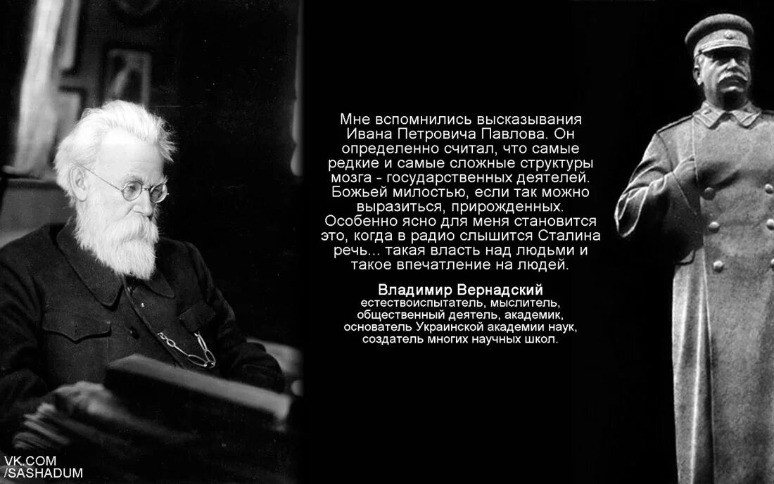 Великие люди советской культуры. Высказывания великих людей о Сталине. Цитаты Сталина. Высказывания о Сталине. Историки о Сталине цитаты.