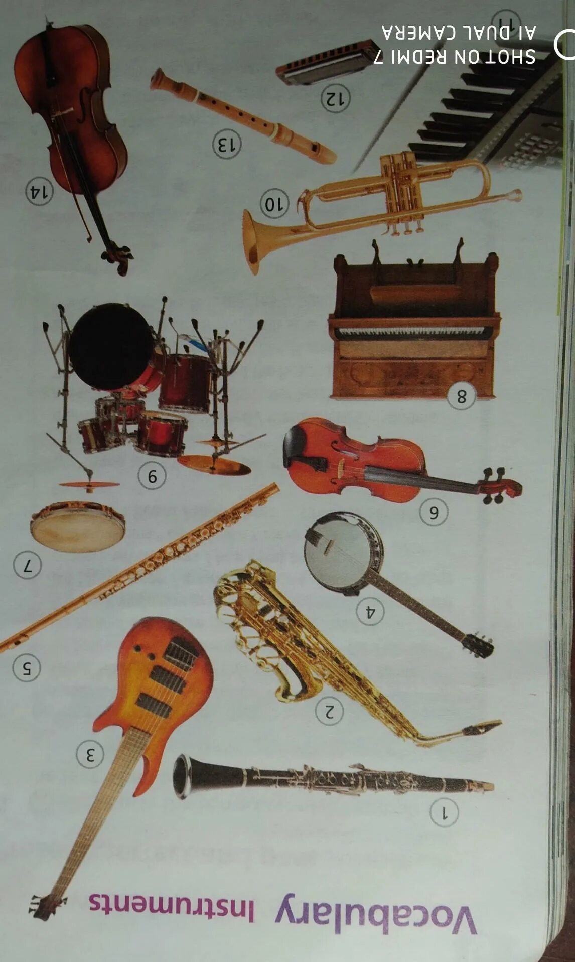 Музыкальные инструменты 1 класс. Litovskii nacanalnii muzikalnii instrument.