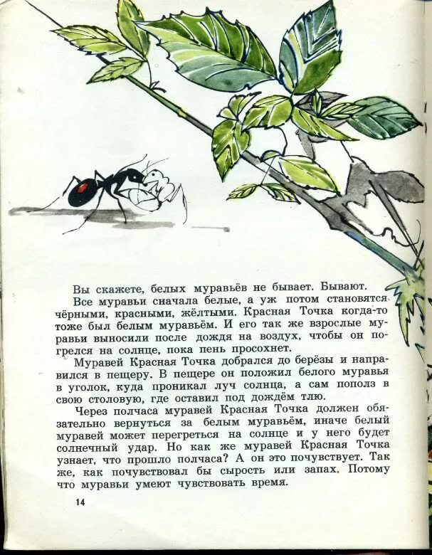 Романова муравей красная точка. Романова муравей красная точка читать. Муравей красная точка книга. Толстой текст муравей