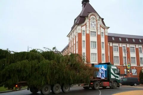 Гусевский сайт