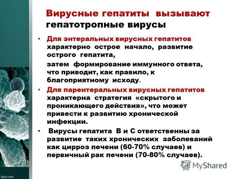 Новый вирусный гепатит