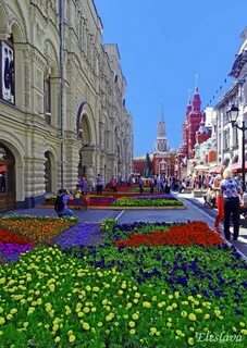 Москва выхода