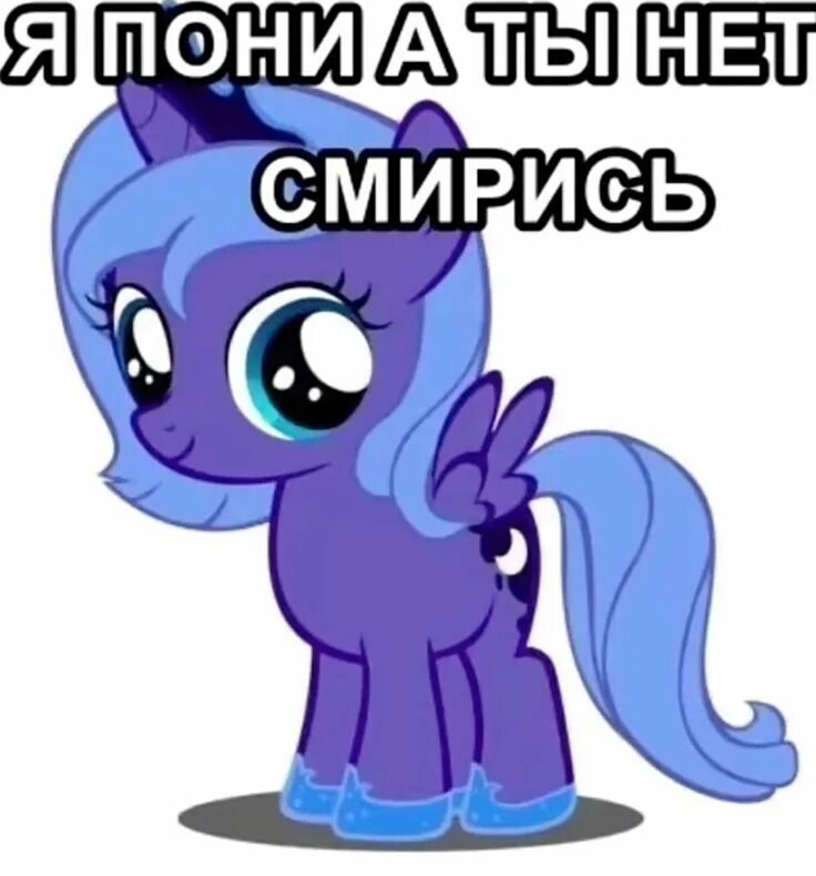 Как я был пони. Как я был пони