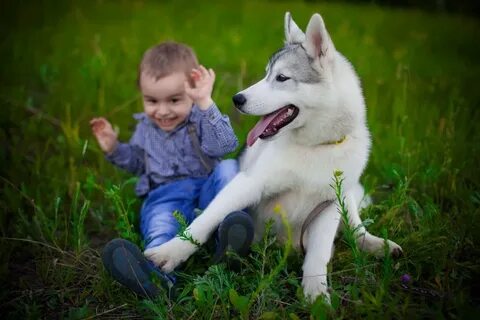 Собака ребенку 5 лет