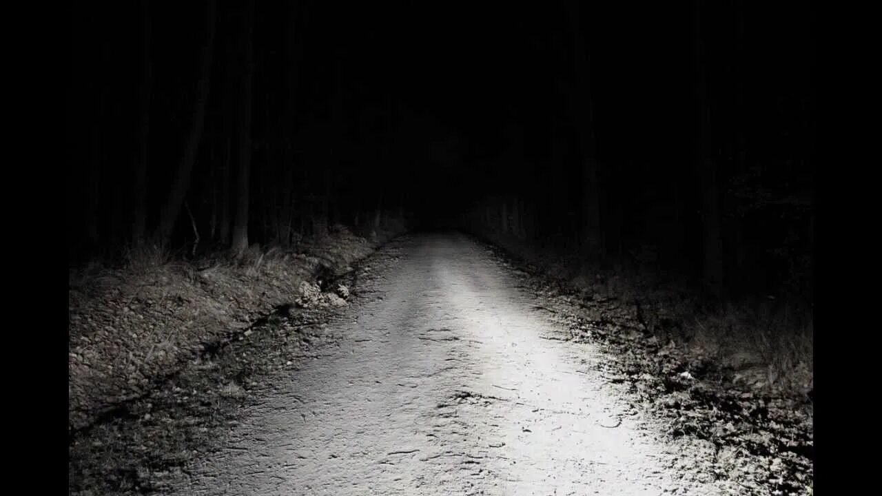 Призрак у дороги. Лес cc0. Страшная дорога ночью. Жуткое фото лес дорога. Страшная дорога в лесу.