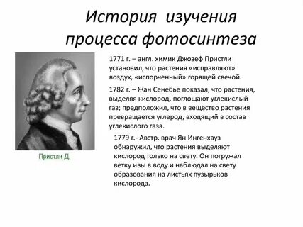 Ученый установивший способность растений исправлять воздух