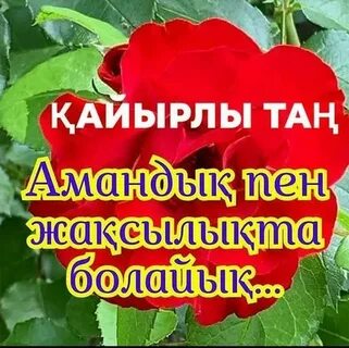 Әйелім бізге үстелдің астына минет жасады