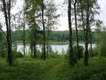 Спасское ивановская область