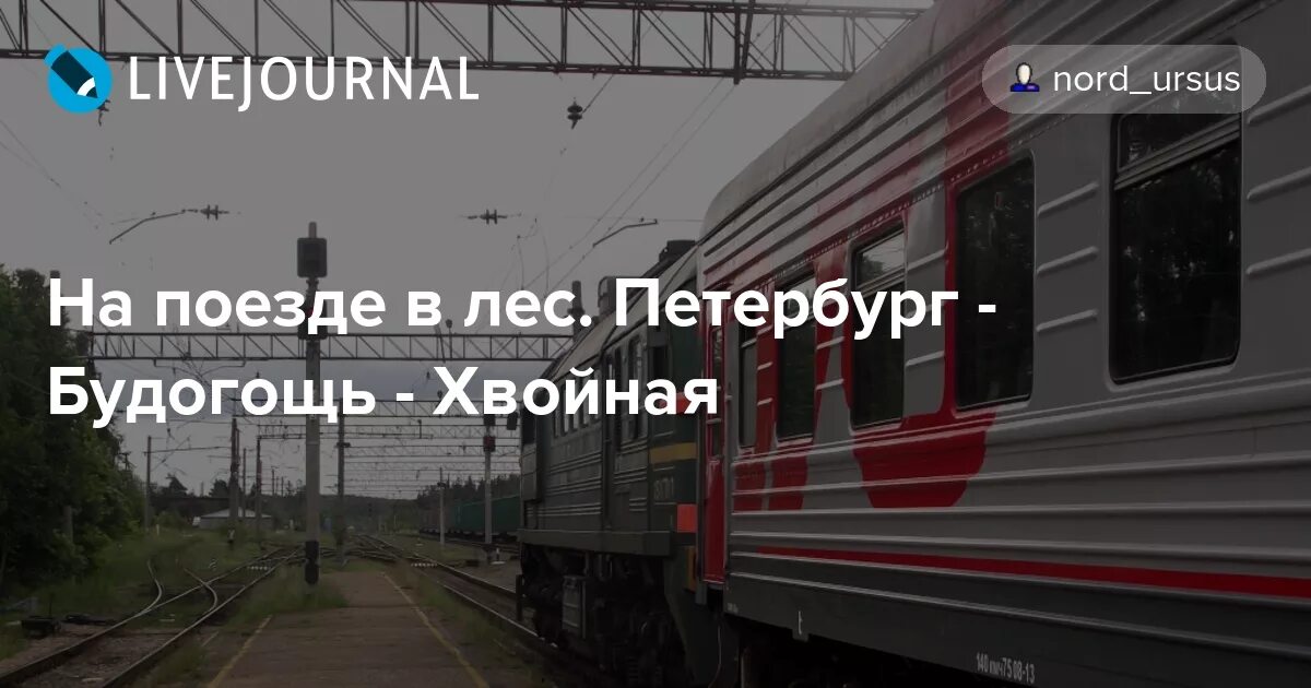 Поезд хвойная. Электричка Будогощь Хвойная. Электричка Будогощь СПБ. Хвойная железная дорога. Расписание рабочего поезда Хвойная Будогощь.