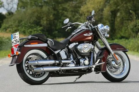 Harley softail