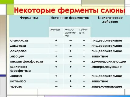 Активность слюны