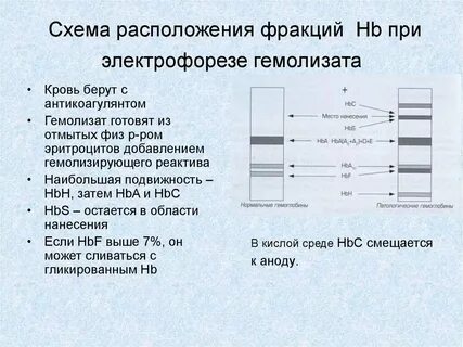 Электрофорез я ничего не могу с собою