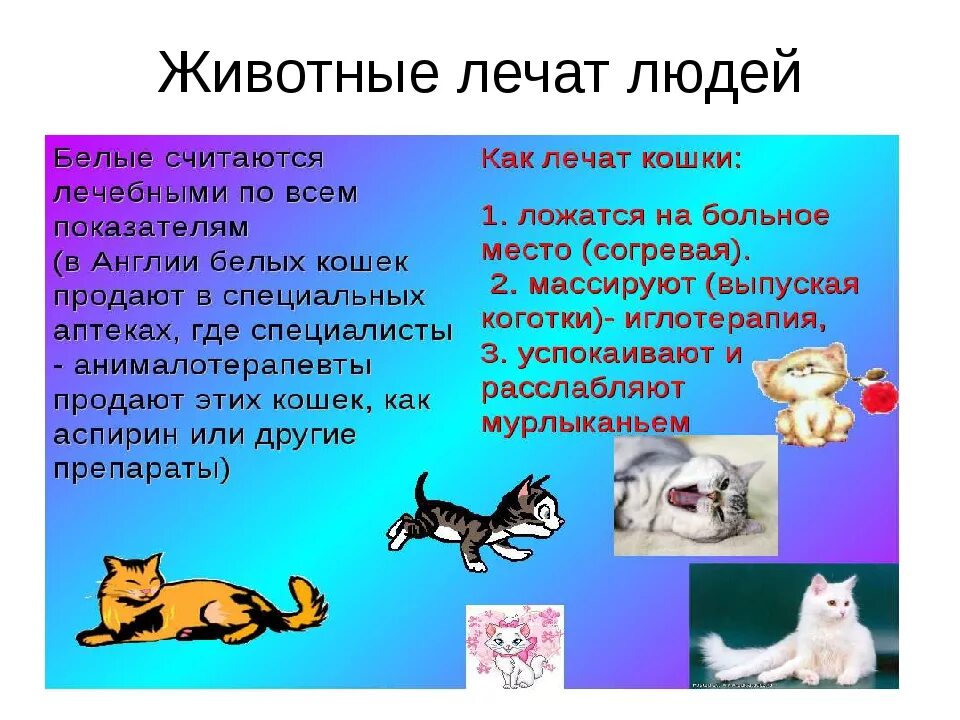 Люди ведут себя как животные как называется. Животные которые помогают людям. Как животные помогают человеку. Информация о домашних животных. Домашние животные презентация для детей.