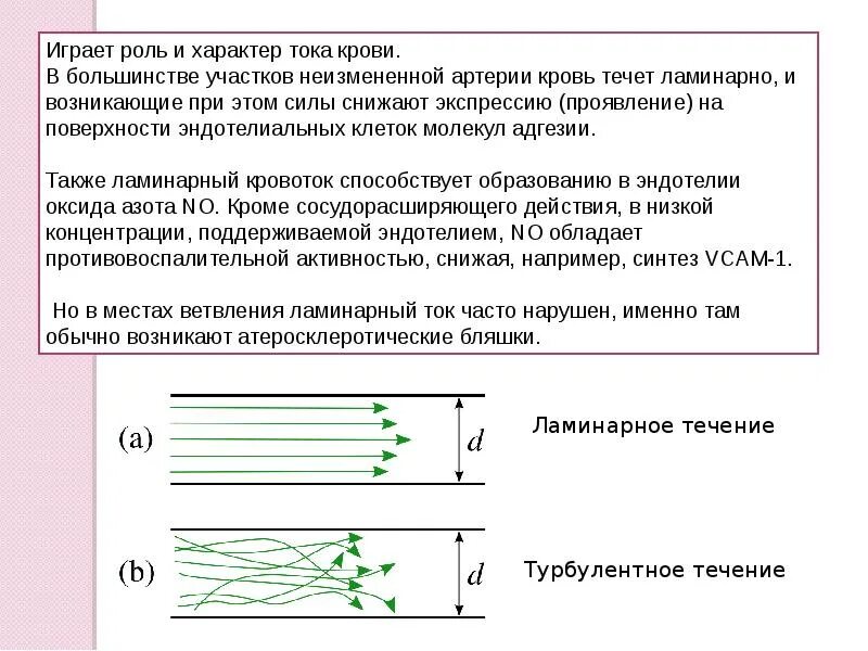 Турбулентное течение крови. Ламинарное движение крови. Ламинарное и турбулентное течение крови. Ламинарный кровоток. Ламинарное и турбулентное течение