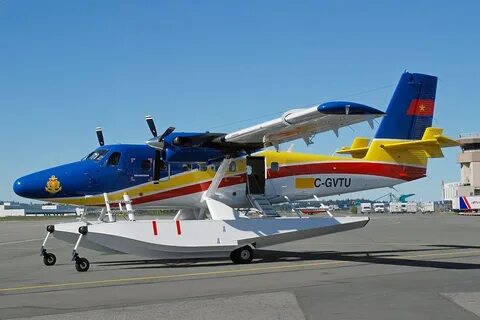 Twin otter