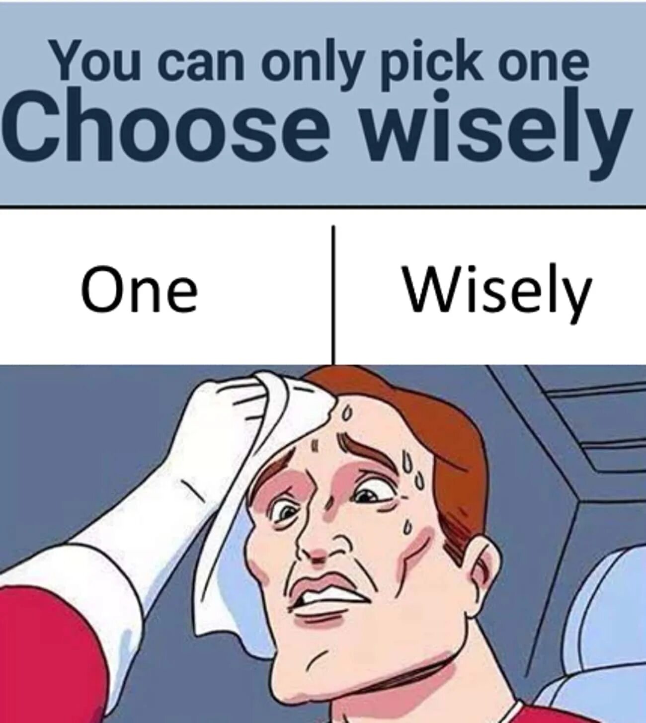 Have to pick one of. Choose wisely мем. you can only pick one choose wisely. wise meme.