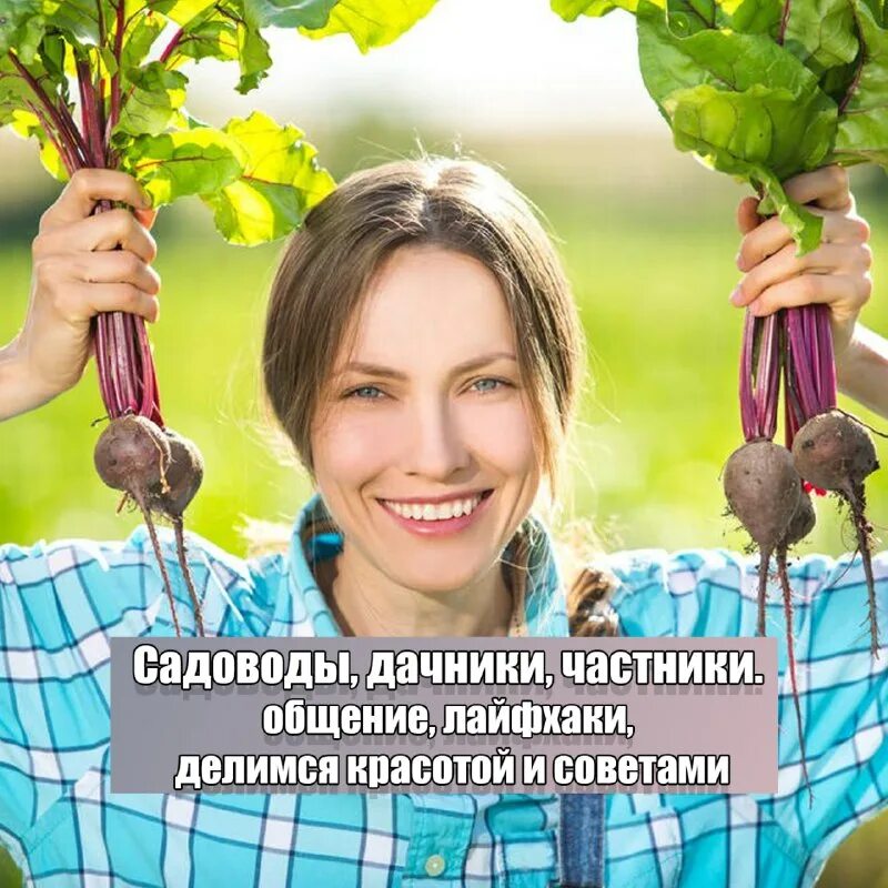 Урожаем довольны