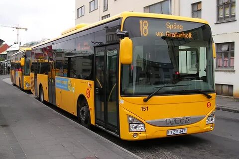 Круглосуточные автобусы
