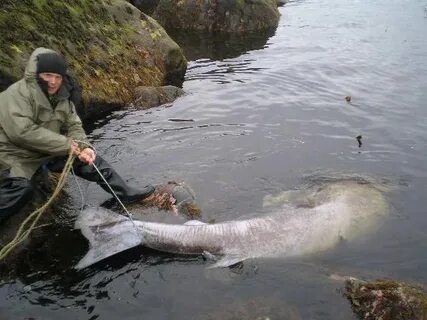 Рыбаки белого моря