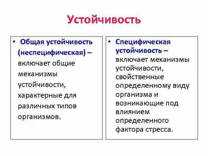 Характерная устойчивость
