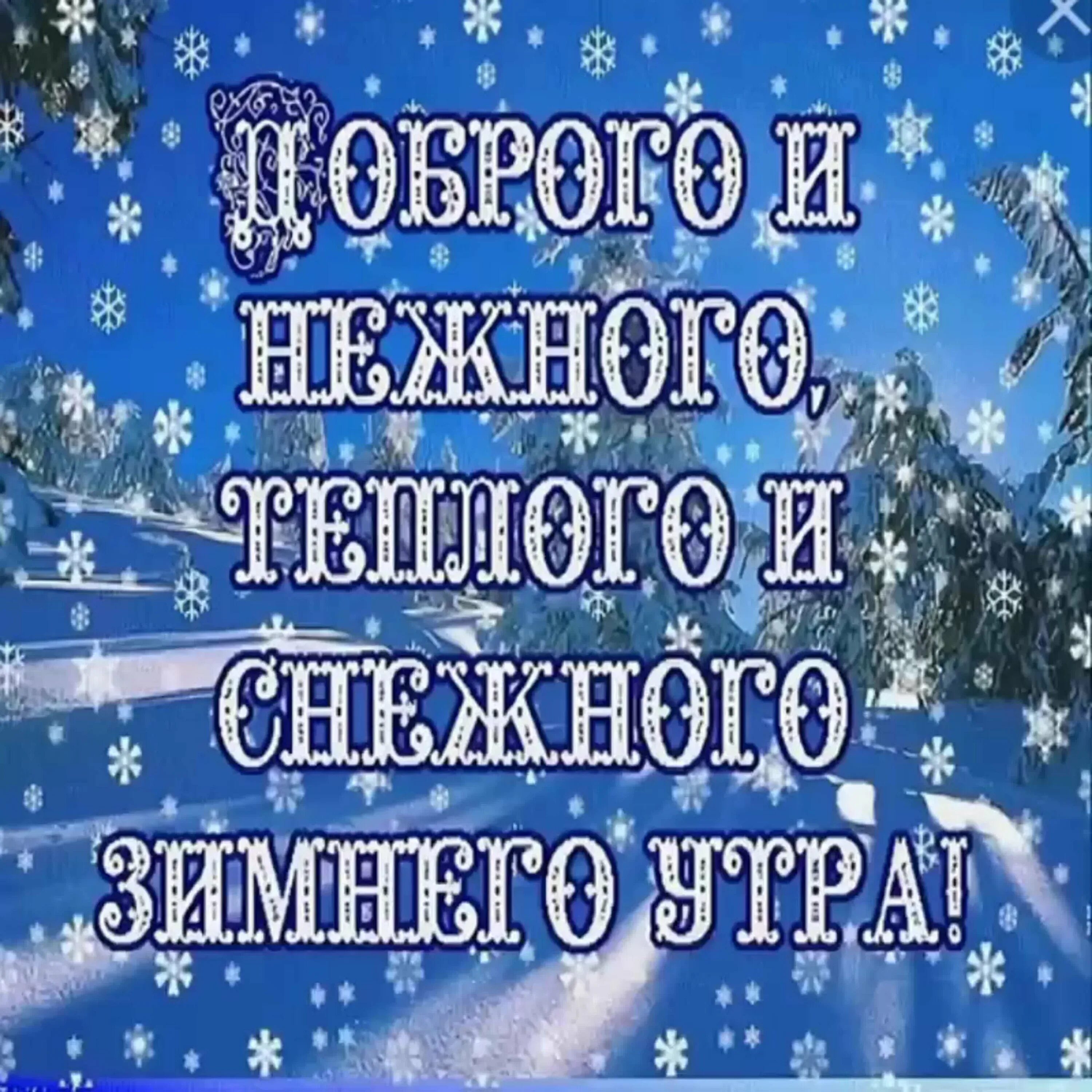 Доброе зимнее утро. Хорошего зимнего дня и здоровья. Поздравления с добрым зимним. Пожелания с добрым утром зимние. Добра в новом дне картинки зимние